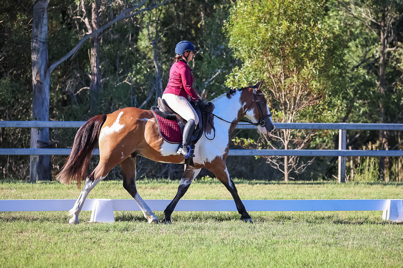 JPC Feb 2026 Dressage-7516.jpg
