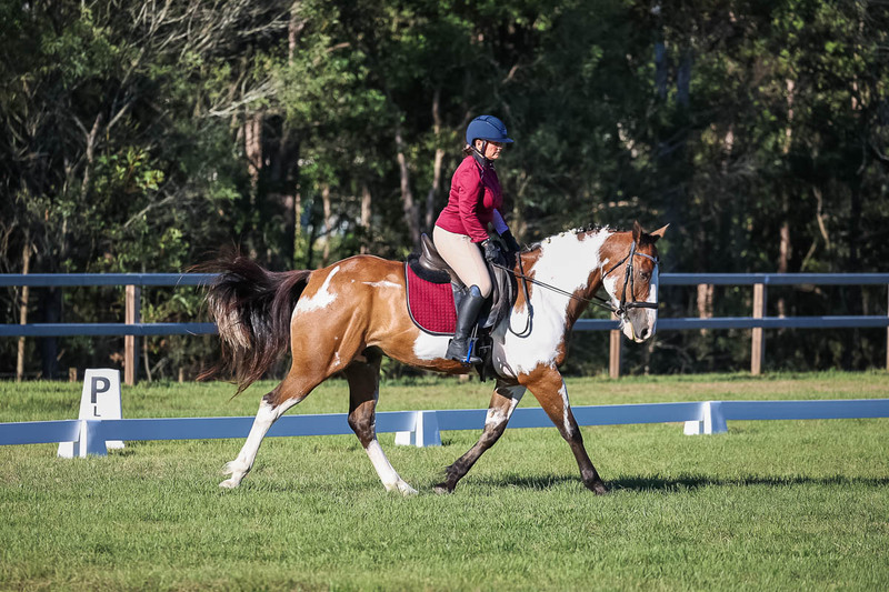 JPC Feb 2026 Dressage-7518.jpg