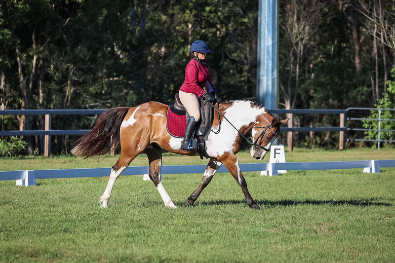 JPC Feb 2026 Dressage-7519.jpg