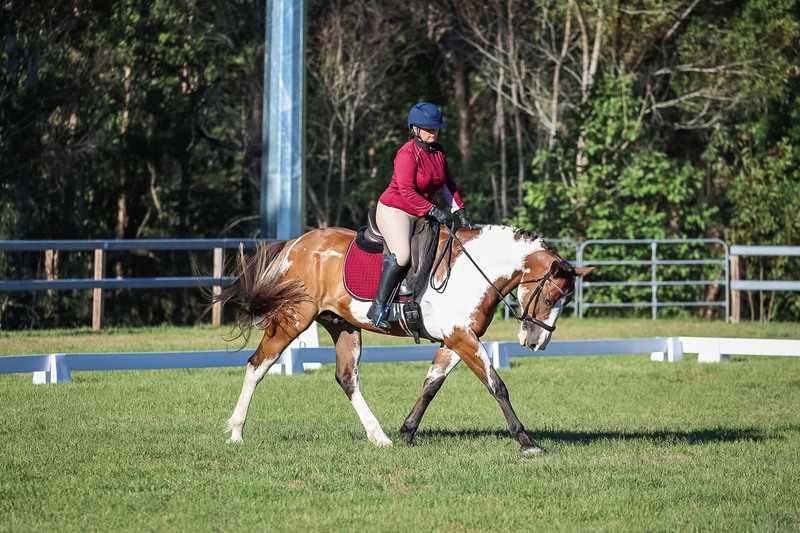 JPC Feb 2026 Dressage-7520.jpg