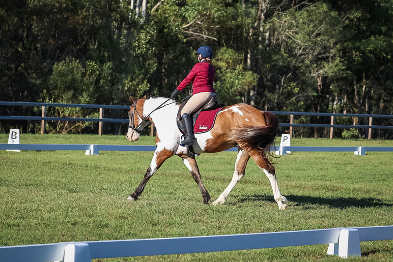 JPC Feb 2026 Dressage-7521.jpg