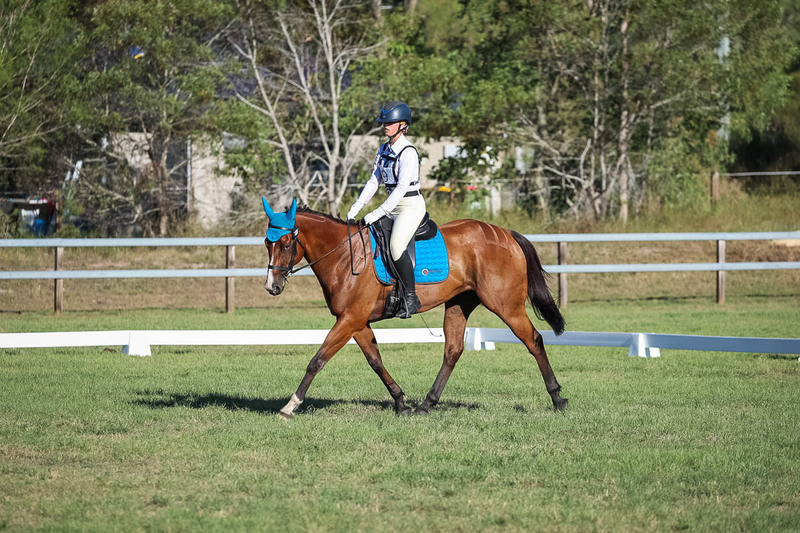 JPC Feb 2026 Dressage-7522.jpg