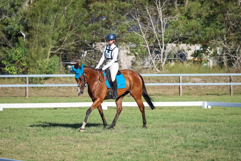 JPC Feb 2026 Dressage-7523.jpg