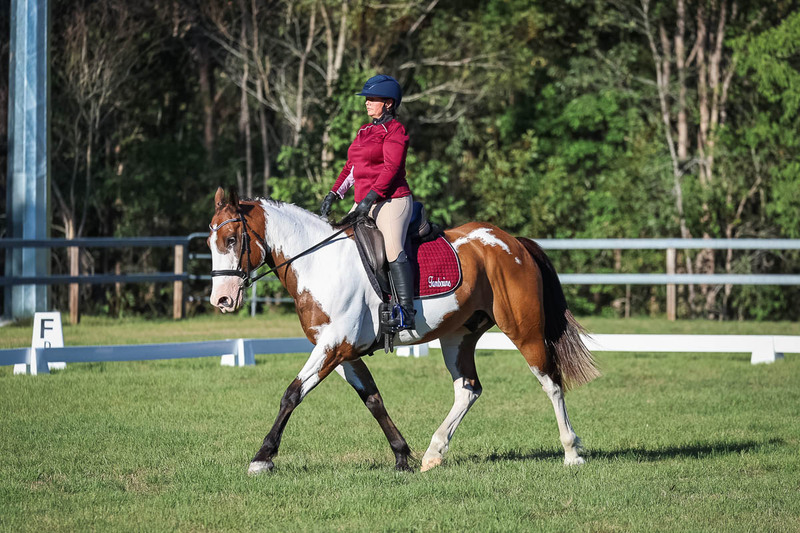 JPC Feb 2026 Dressage-7524.jpg