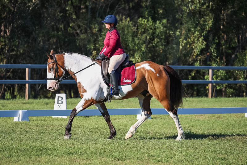 JPC Feb 2026 Dressage-7527.jpg
