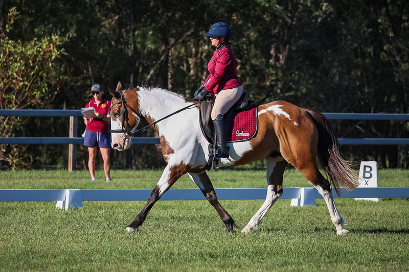 JPC Feb 2026 Dressage-7528.jpg