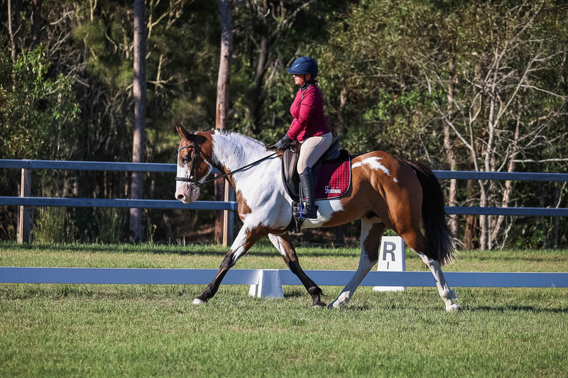 JPC Feb 2026 Dressage-7529.jpg