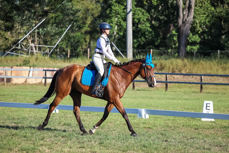 JPC Feb 2026 Dressage-7531.jpg