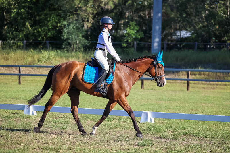 JPC Feb 2026 Dressage-7532.jpg