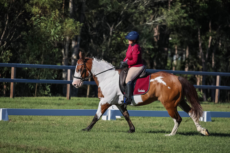 JPC Feb 2026 Dressage-7533.jpg