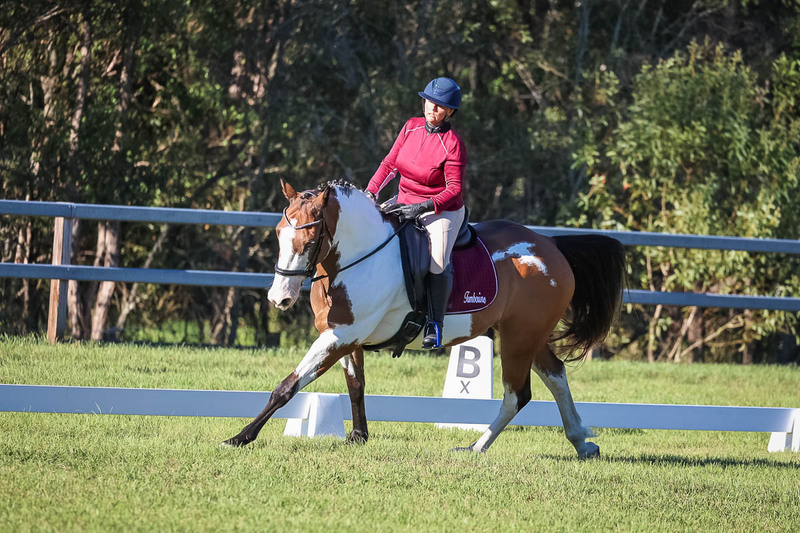 JPC Feb 2026 Dressage-7535.jpg