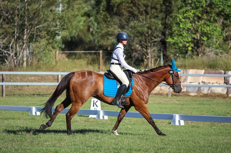 JPC Feb 2026 Dressage-7536.jpg