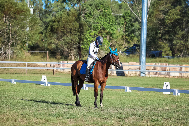 JPC Feb 2026 Dressage-7538.jpg