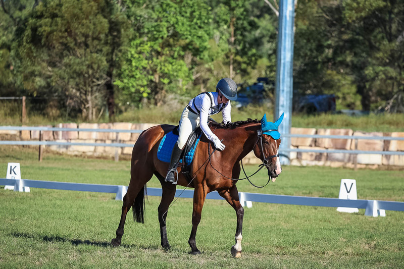 JPC Feb 2026 Dressage-7540.jpg