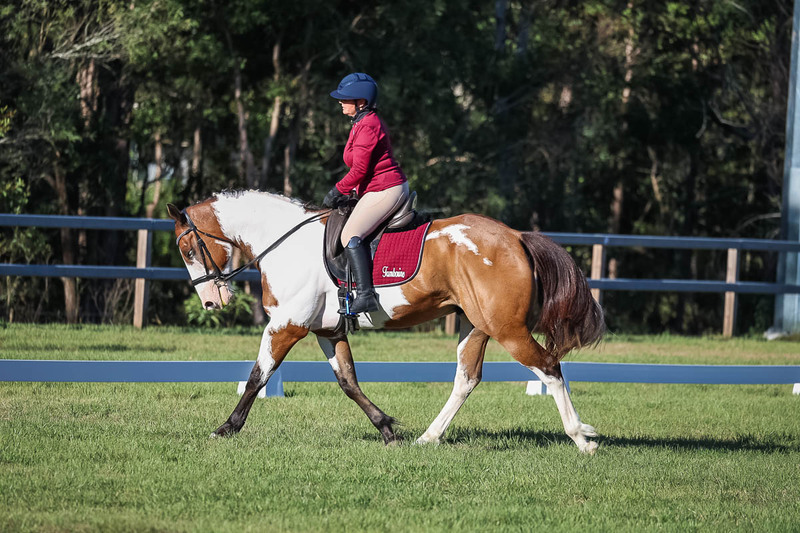 JPC Feb 2026 Dressage-7541.jpg