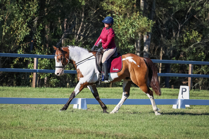 JPC Feb 2026 Dressage-7542.jpg