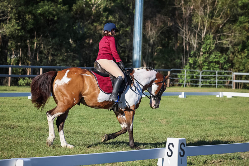 JPC Feb 2026 Dressage-7543.jpg