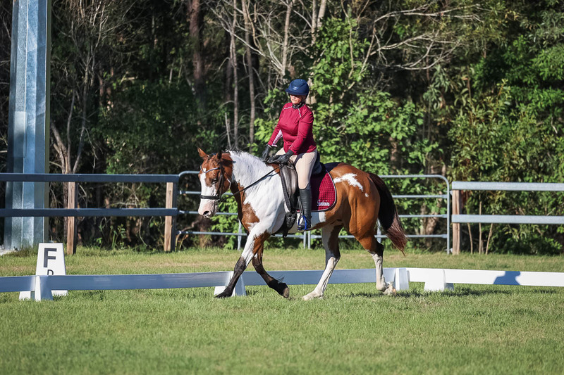 JPC Feb 2026 Dressage-7544.jpg