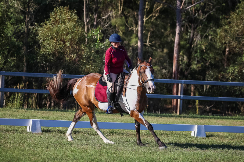 JPC Feb 2026 Dressage-7546.jpg