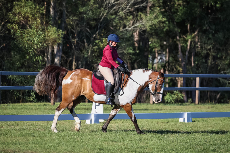JPC Feb 2026 Dressage-7547.jpg