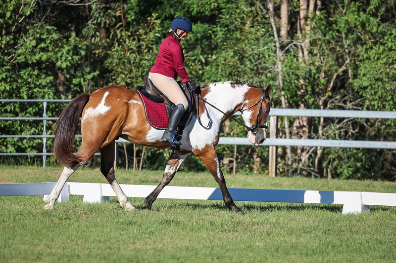 JPC Feb 2026 Dressage-7548.jpg