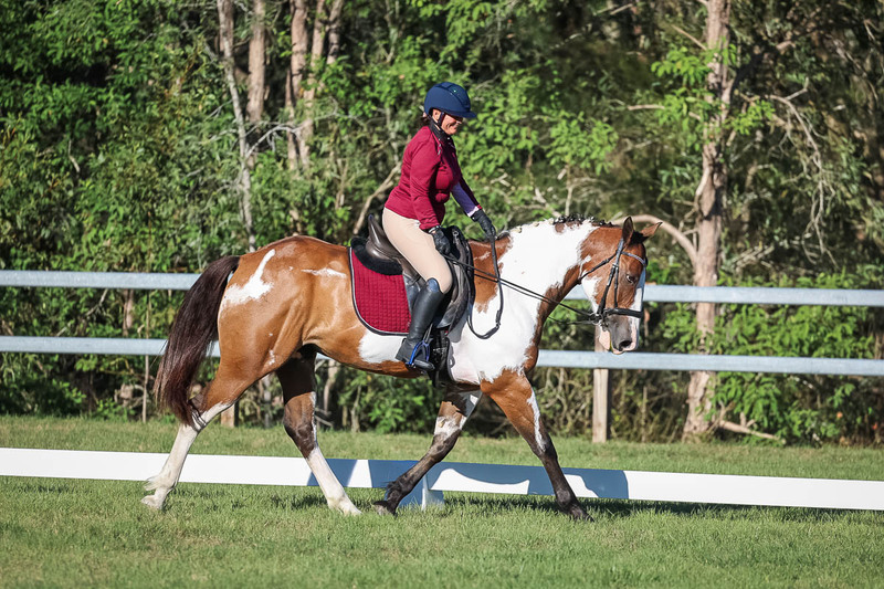 JPC Feb 2026 Dressage-7549.jpg
