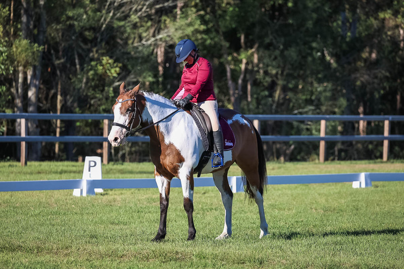 JPC Feb 2026 Dressage-7551.jpg