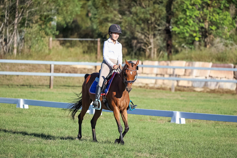 JPC Feb 2026 Dressage-7552.jpg