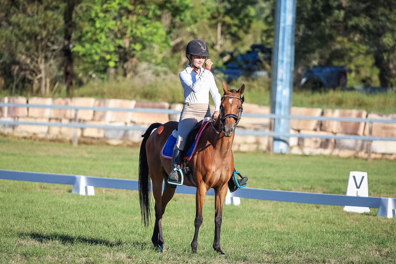 JPC Feb 2026 Dressage-7553.jpg