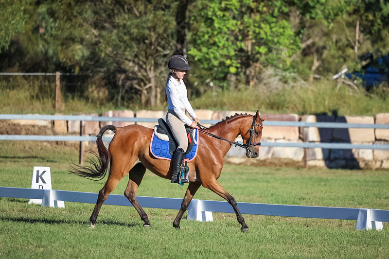 JPC Feb 2026 Dressage-7556.jpg