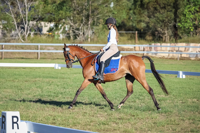 JPC Feb 2026 Dressage-7558.jpg