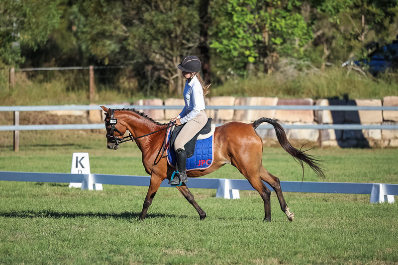 JPC Feb 2026 Dressage-7560.jpg