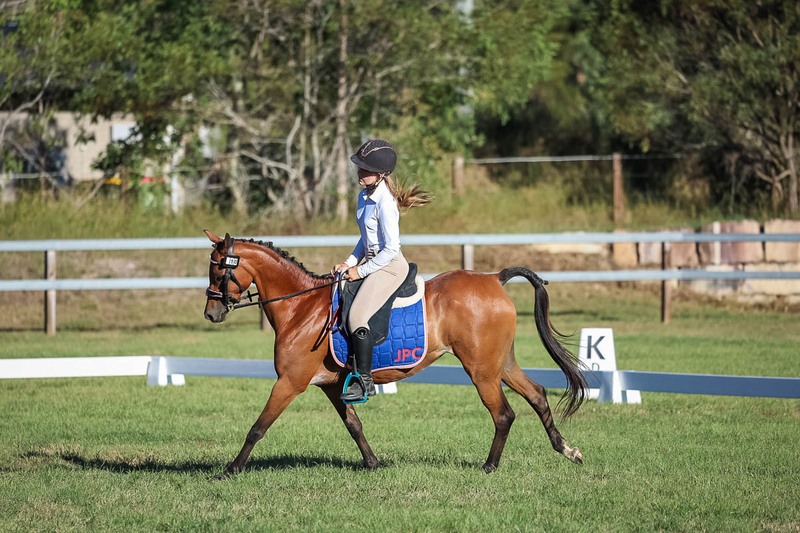 JPC Feb 2026 Dressage-7561.jpg
