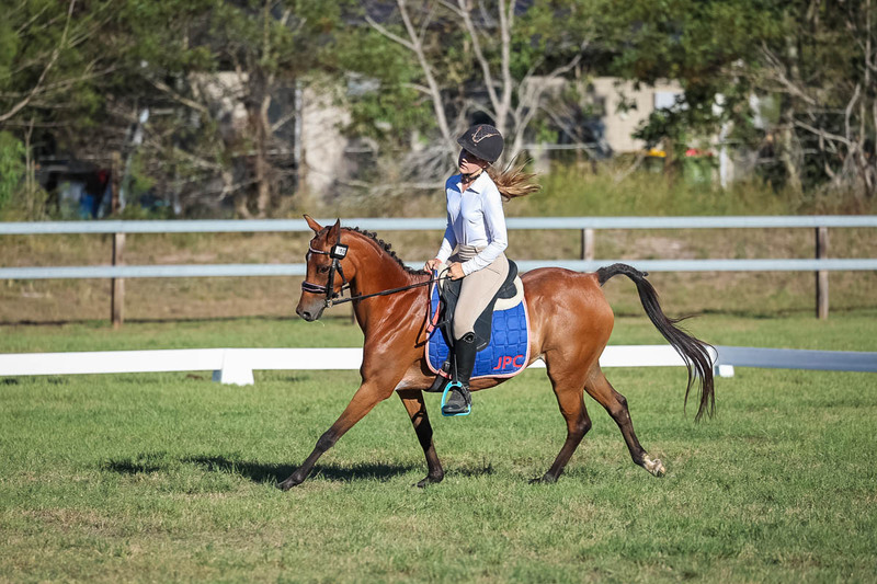 JPC Feb 2026 Dressage-7562.jpg