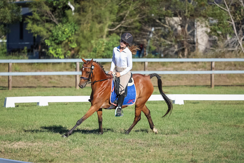 JPC Feb 2026 Dressage-7563.jpg