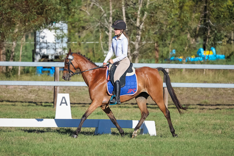 JPC Feb 2026 Dressage-7566.jpg