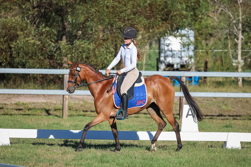 JPC Feb 2026 Dressage-7567.jpg