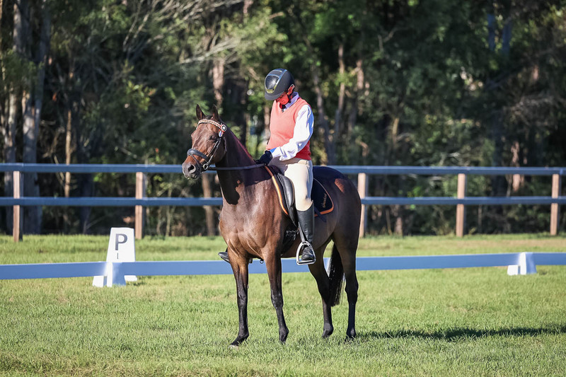 JPC Feb 2026 Dressage-7568.jpg
