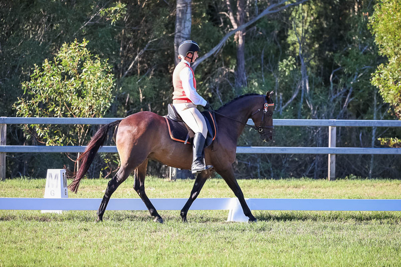 JPC Feb 2026 Dressage-7569.jpg
