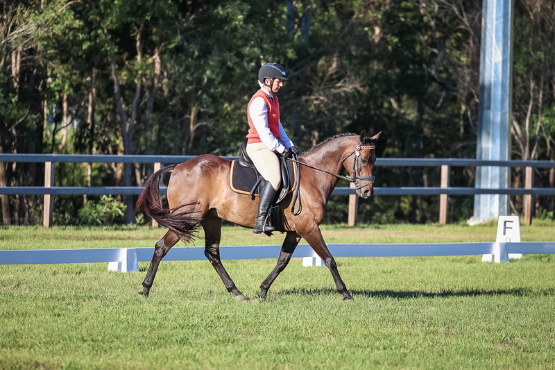 JPC Feb 2026 Dressage-7570.jpg