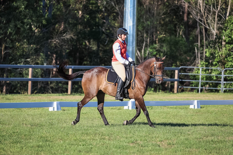 JPC Feb 2026 Dressage-7571.jpg