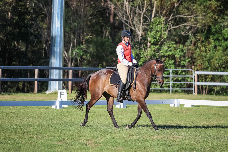 JPC Feb 2026 Dressage-7572.jpg