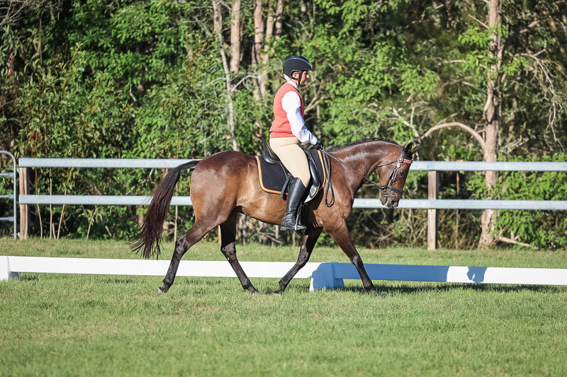 JPC Feb 2026 Dressage-7573.jpg