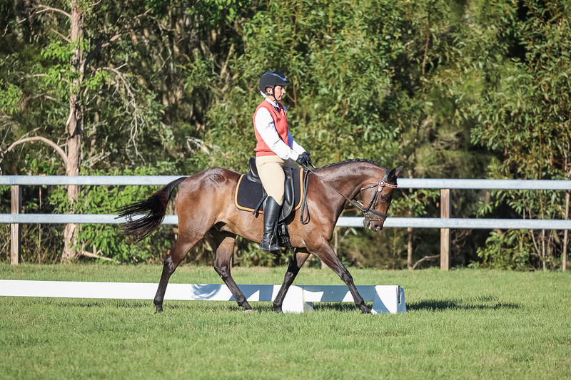 JPC Feb 2026 Dressage-7575.jpg