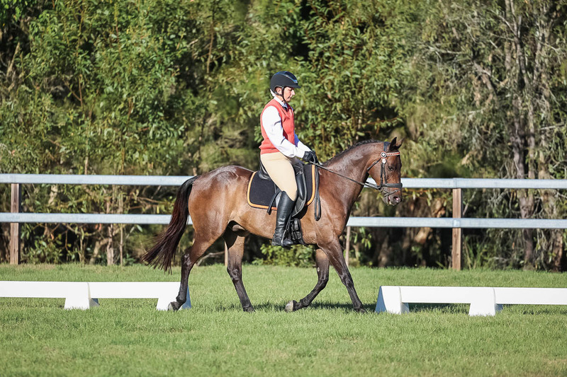 JPC Feb 2026 Dressage-7576.jpg