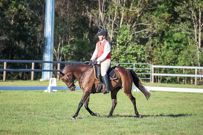 JPC Feb 2026 Dressage-7578.jpg