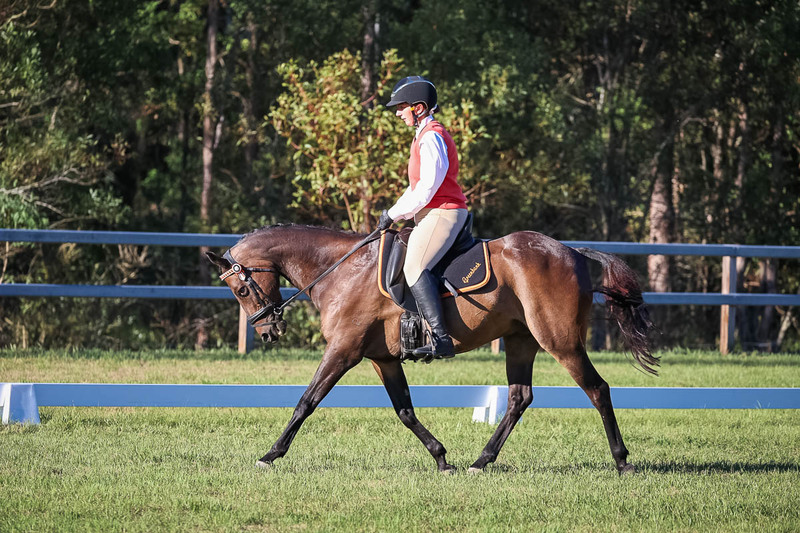 JPC Feb 2026 Dressage-7580.jpg