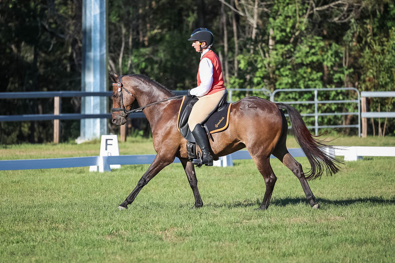 JPC Feb 2026 Dressage-7581.jpg