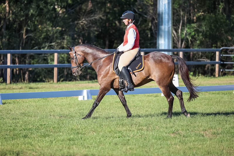 JPC Feb 2026 Dressage-7582.jpg