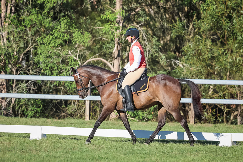 JPC Feb 2026 Dressage-7583.jpg